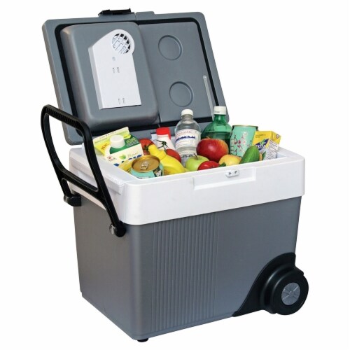 Koolatron 12V AC Powered Split Cooler Perspective: back