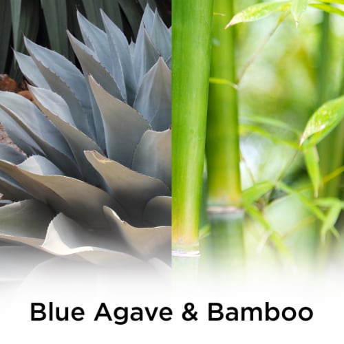 Air Wick Plug in Scented Oil Refill Blue Agave and Bamboo Air Freshener Essential Oils Perspective: back