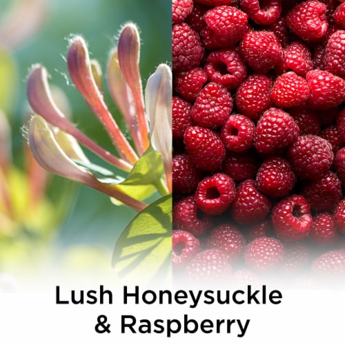 Air Wick Scented Oil Refill, Plug In Air Freshener, Lush Honeysuckle and Raspberry, 5 refills Perspective: back