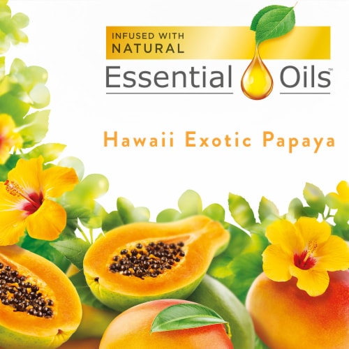 Air Wick Plug in Scented Oil Starter Kit Hawaii Air Freshener Essential Oils Perspective: back