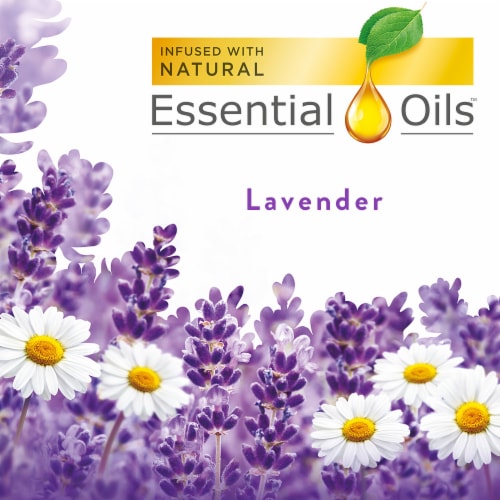 Air Wick Scented Oil Refill, Plug In Air Freshener, Lavender and Chamomile, 5 refills Perspective: back