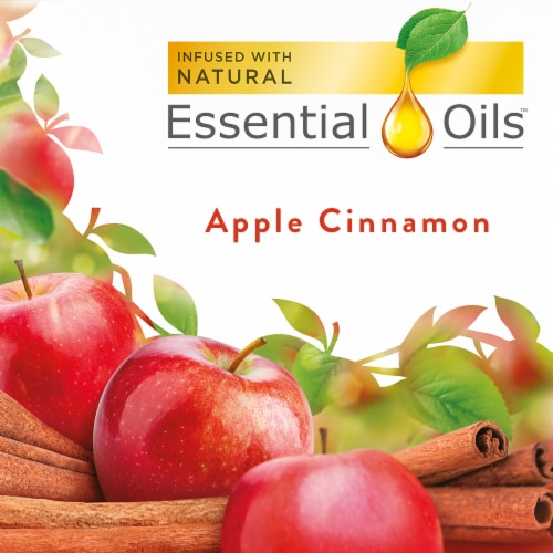 Air Wick® Plug in Scented Oil Refill Apple Cinnamon Medley Air Freshener Essential Oils Perspective: back