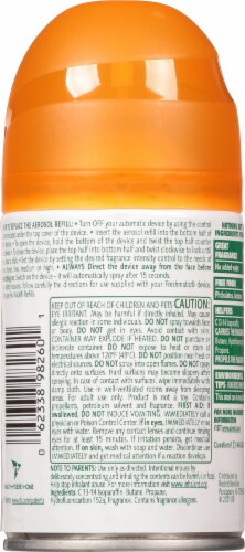 Air Wick® Pure Pumpkin Spice Automatic Spray Refill Perspective: back
