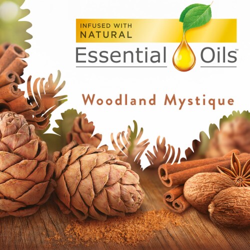 Air Wick Essential Oils Woodland Mystique Refills Perspective: back