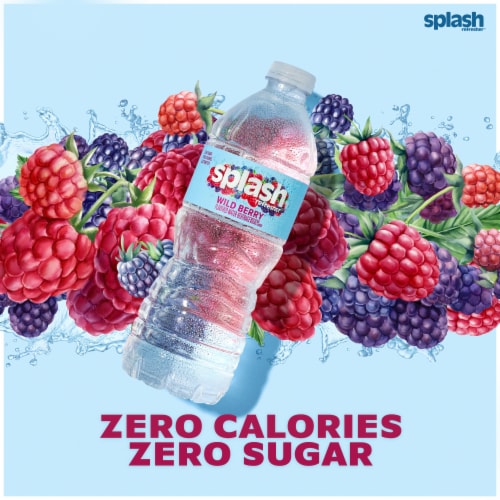Splash Refresher Wild Berry Flavored Water Bottle Perspective: back