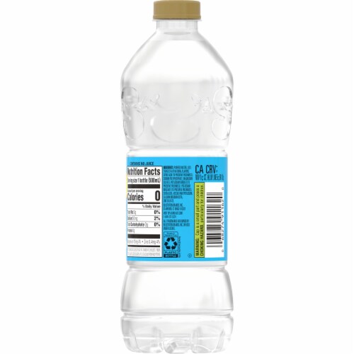 Splash Blast™ Lemon Water Bottle Perspective: back