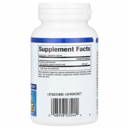 Natural Factors WellBetX Berberine, 60 Vegetarian Capsules Perspective: back