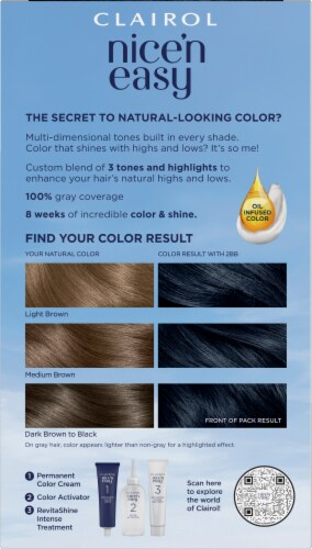 Clairol Nice'n Easy Permanent Hair Color 2BB Blue Black Perspective: back