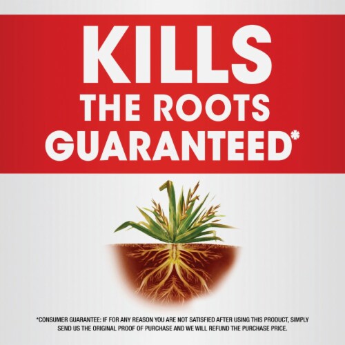 ROUNDUP WEED AND GRASS KILLER CONC PLUS 0.5GAL Perspective: back