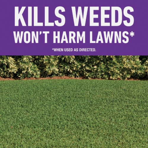 Roundup For Lawns 1 Gal. Wand Sprayer Southern Formula Weed Killer 5012506 Perspective: back