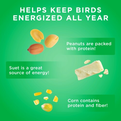 Audubon Park® Nutty Treat Suet Wild Bird Food Perspective: back