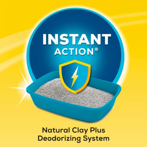 Purina® Tidy Cats® Instant Action Multi Cat Clumping Litter Perspective: back