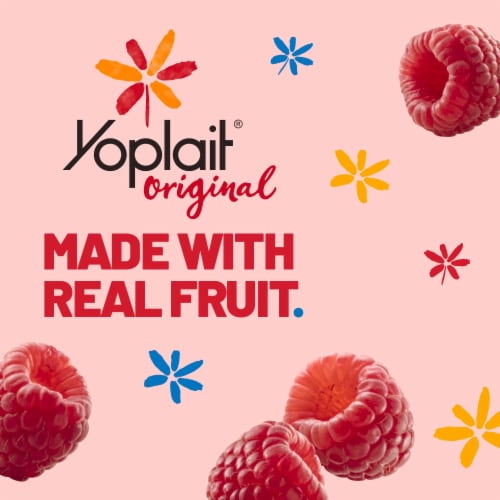 Yoplait Original Low Fat Red Raspberry Yogurt Cup Perspective: back