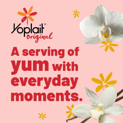 Yoplait Original Vanilla Flavored Smooth Style Low Fat Yogurt Tub Perspective: back