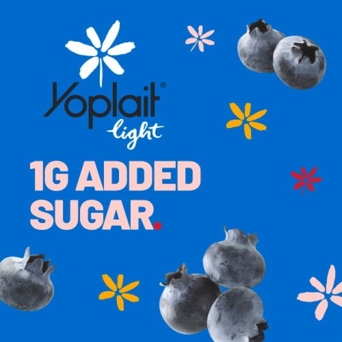Yoplait Light Blueberry Patch Fat Free Yogurt Cup Perspective: back