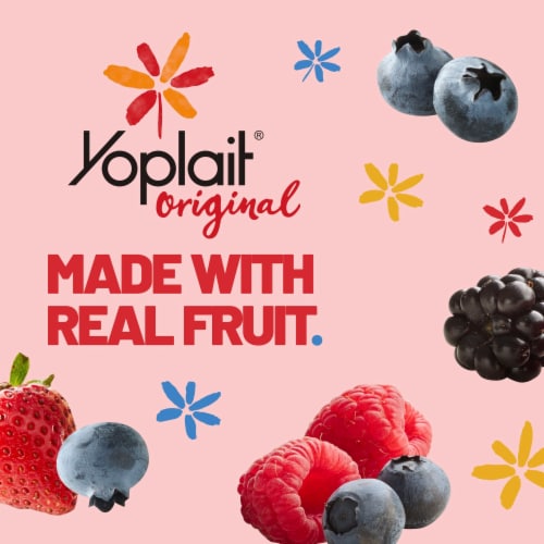 Yoplait Original Mountain Blueberry and Mixed Berry Low Fat Yogurt Cups Perspective: back