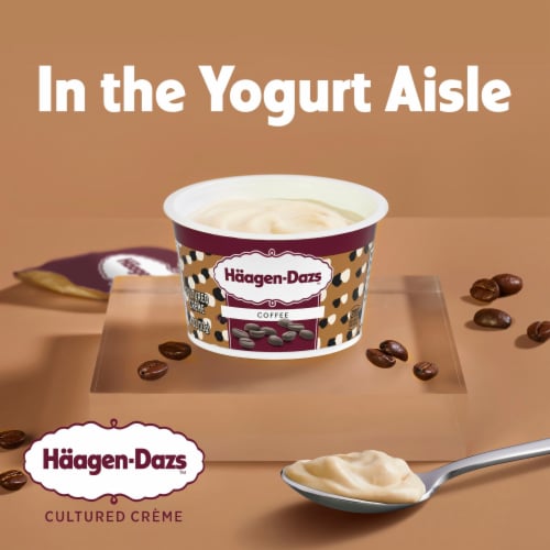Haagen Dazs Coffee Cultured Creame Yogurt Perspective: back