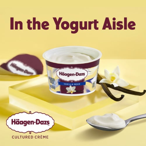 Haagen Dazs Vanilla Bean Cultured Creame Yogurt Perspective: back