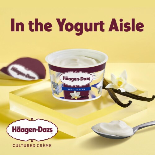 Haagen Dazs Vanilla Bean Cultured Crème Yogurt Style Snack Perspective: back