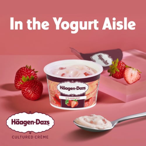 Haagen Dazs Strawberry Cultured Creame Yogurt Perspective: back
