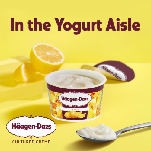 Haagen Dazs Lemon Cultured Crème Yogurt Style Snack Perspective: back