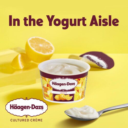 Haagen Dazs Lemon Cultured Crème Yogurt Style Snack Perspective: back
