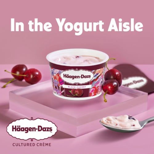 Haagen Dazs Black Cherry Cultured Crème Yogurt Style Snack Perspective: back