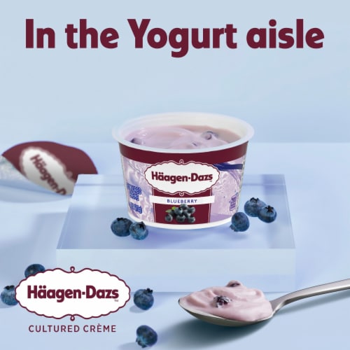 Haagen Dazs Blueberry Cultured Creame Yogurt Perspective: back