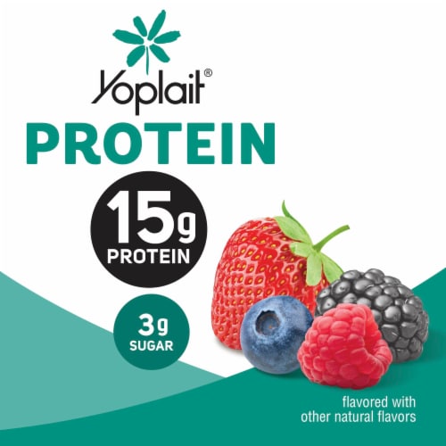 Yoplait Protein Mixed Berry Yogurt Cultured Dairy Snack Cup Perspective: back