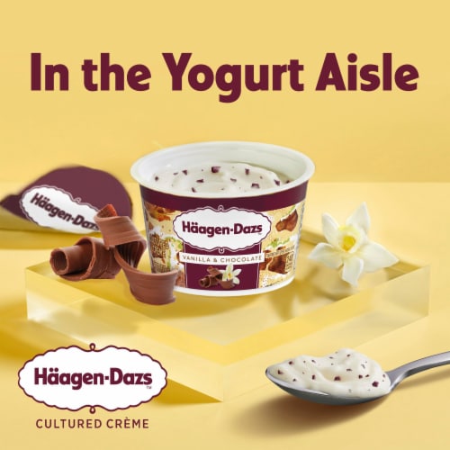 Haagen Dazs Vanilla and Chocolate Flavored Yogurt Style Cultured Cream Snack Perspective: back