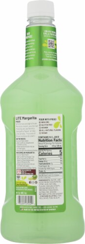 Master of Mixes Lite Margarita Mixer Perspective: back
