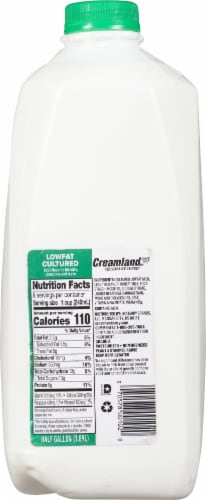 Creamland™ Low Fat Buttermilk Perspective: back