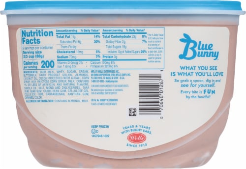 Blue Bunny Toasted Almond Fudge Frozen Dairy Dessert Tub Perspective: back