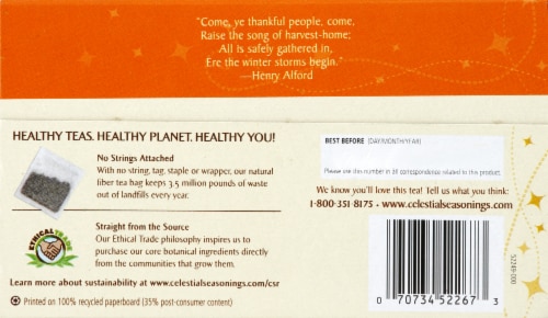 Celestial Seasonings® Sweet Harvest Pumpkin™ Black Tea Bags Perspective: back