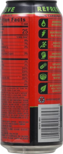 Monster® Rehab® Watermelon Energy Drink Perspective: back