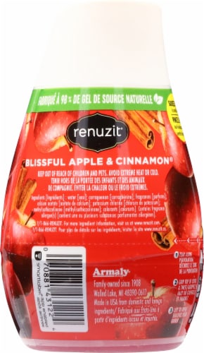 Renuzit® Blissful Apple & Cinnamon® Adjustable Fragrance Perspective: back
