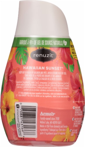 Renuzit® Adjustable Hawaiian Sunset® Air Freshener Perspective: back