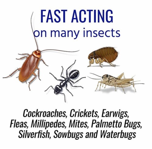 TERRO® Ant Killer Plus Multi-Purpose Insect Control Perspective: back