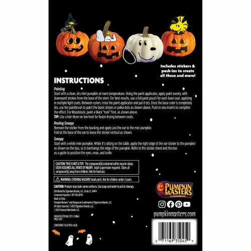 Pumpkin Masters® The Gang's All Here Halloween Mini Pumpkin Painting & Decorating Kit Perspective: back