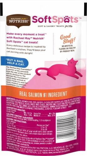 Rachael Ray Nutrish Soft Spots Real Salmon Cat Treats Perspective: back