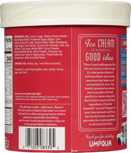Umpqua Chocolate Peanut Butter Ice Cream Tub Perspective: back