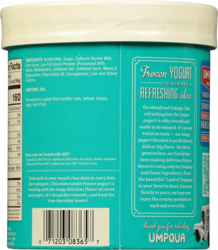 Umpqua Chocolate Nonfat Frozen Yogurt Perspective: back