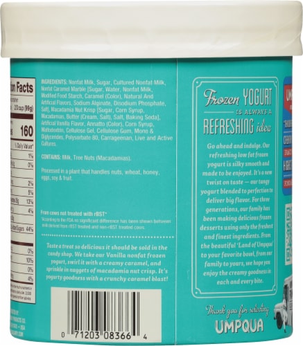 Umpqua Fat Free Caramel Macadamia Nut Frozen Yogurt Tub Perspective: back