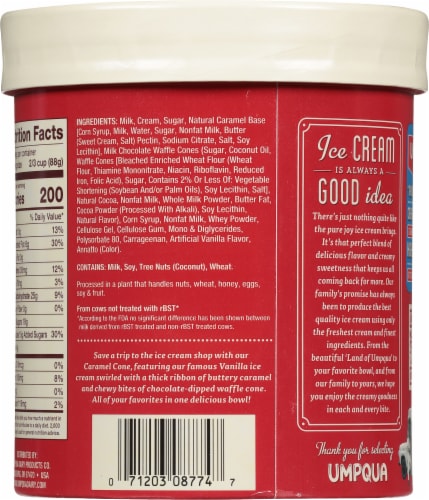 Umpqua Caramel Cone Ice Cream Tub Perspective: back