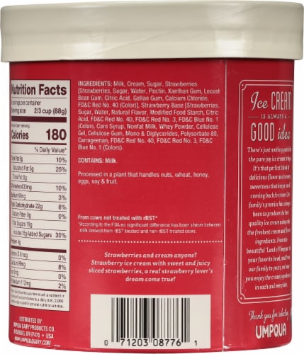 Umpqua Strawberry Ice Cream Tub Perspective: back