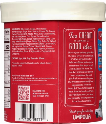 Umpqua Chocolate Brownie Thunder Ice Cream Tub Perspective: back
