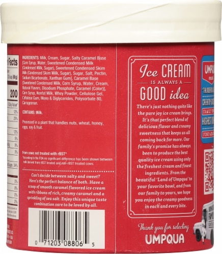 Umpqua Salted Caramel Ice Cream Tub Perspective: back