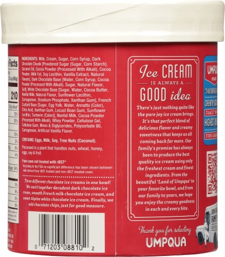 Umpqua Triple Chocolate Ice Cream Tub Perspective: back
