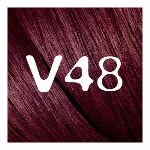 L'Oreal Feria Shimmering V48 Violet Vixen Hair Dye Kit Perspective: back