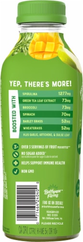 Bolthouse Farms™ Green Goodness® Fruit Juice Smoothe Perspective: back